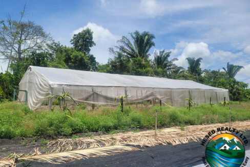 image_6-9
