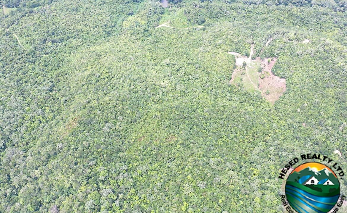 image_8-2