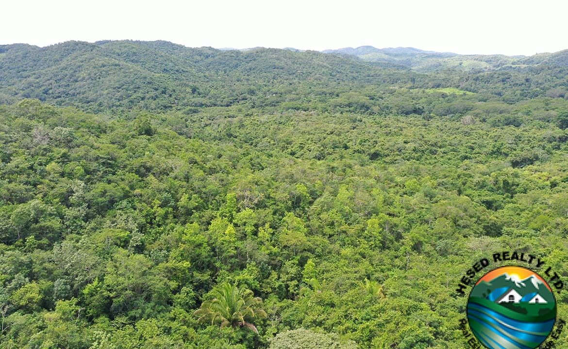 image_9-1