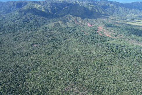jungle-for-sale-belize