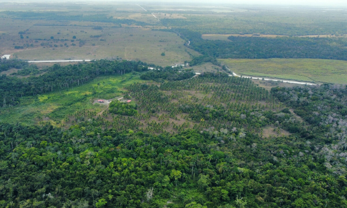 k_20aerial_2011