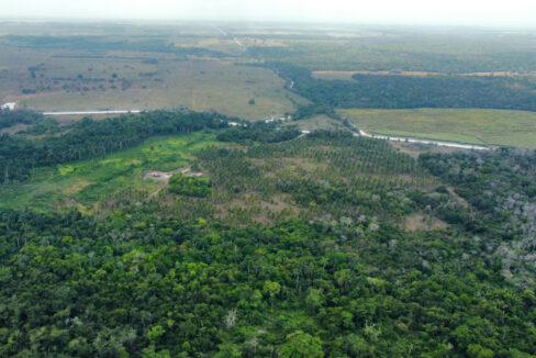 k_20aerial_2011