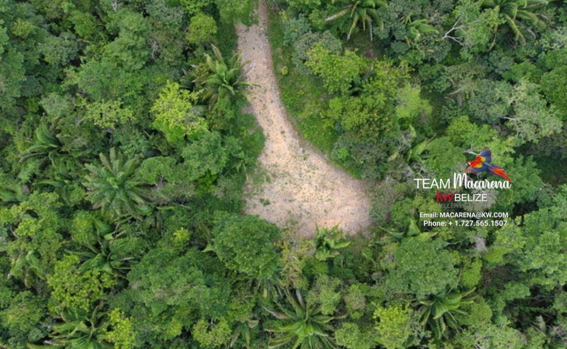 lot1aerial-1170x785