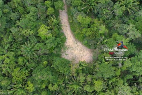 lot1aerial-1170x785