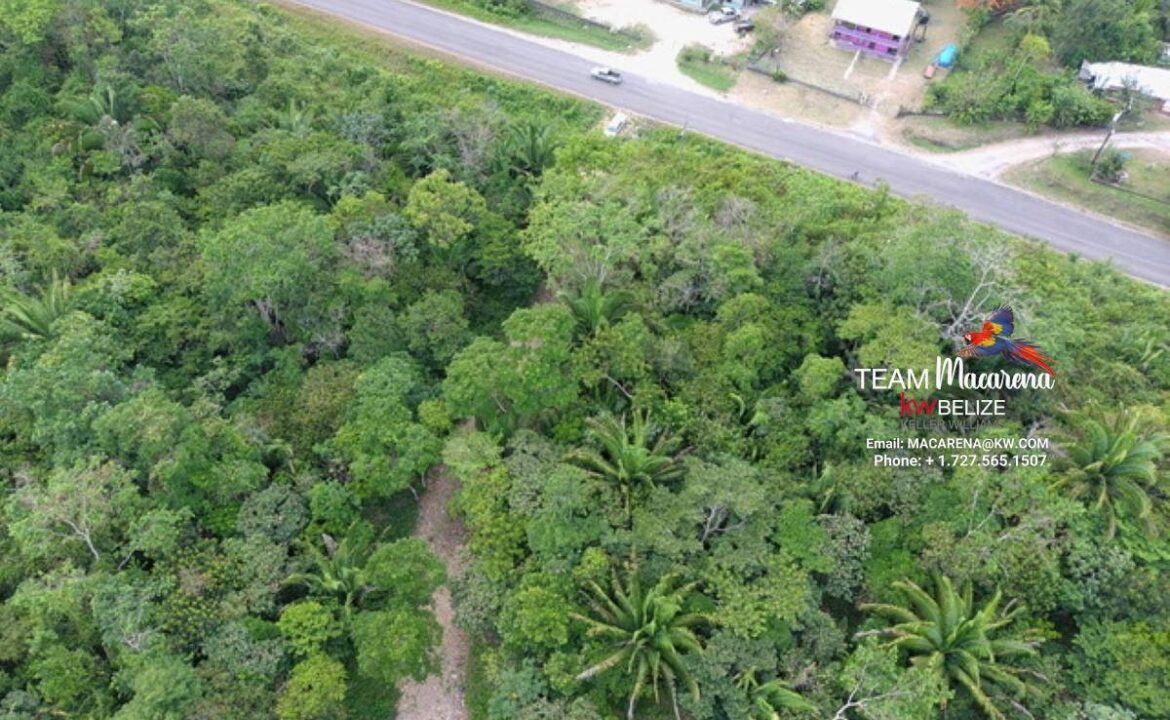 lot5aerial-1170x785