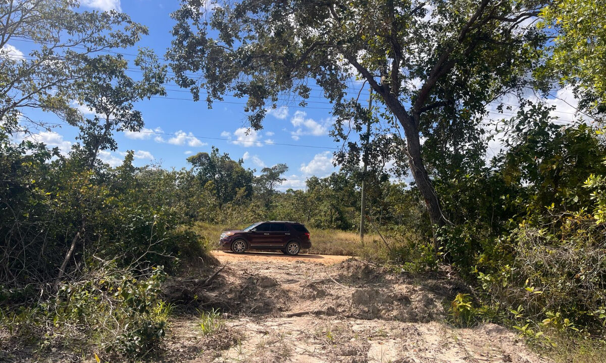mango-creek-3