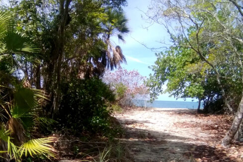 mayacan-view-down-easement