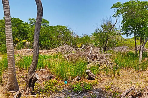 oversized_south_point_lot_001_caye_caulker_belize