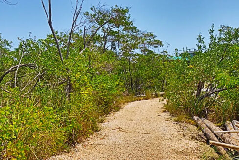 oversized_south_point_lot_002_caye_caulker_belize