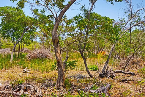 oversized_south_point_lot_003_caye_caulker_belize