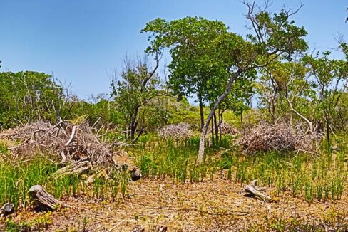 oversized_south_point_lot_004_caye_caulker_belize