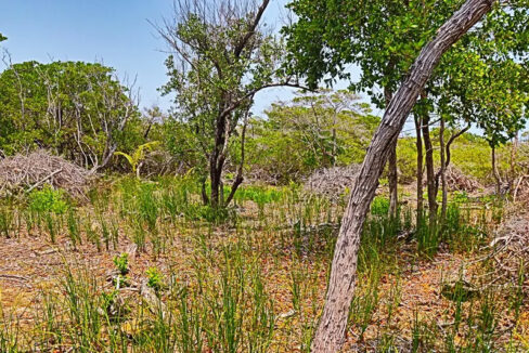 oversized_south_point_lot_007_caye_caulker_belize