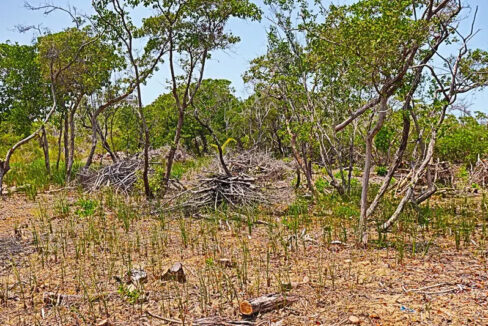 oversized_south_point_lot_009_caye_caulker_belize