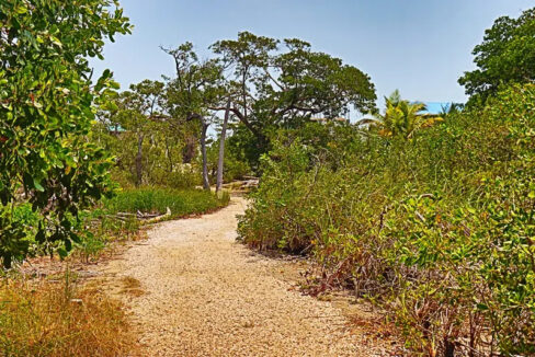oversized_south_point_lot_012_caye_caulker_belize