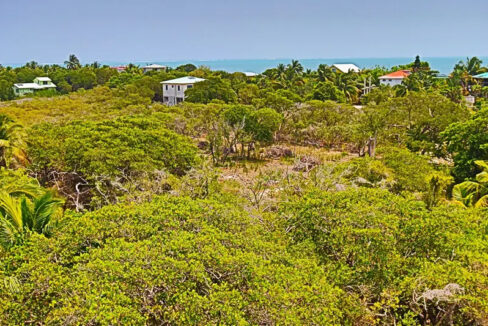 oversized_south_point_lot_014_caye_caulker_belize