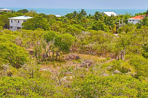 oversized_south_point_lot_015_caye_caulker_belize