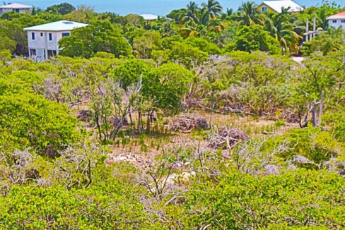 oversized_south_point_lot_019_caye_caulker_belize