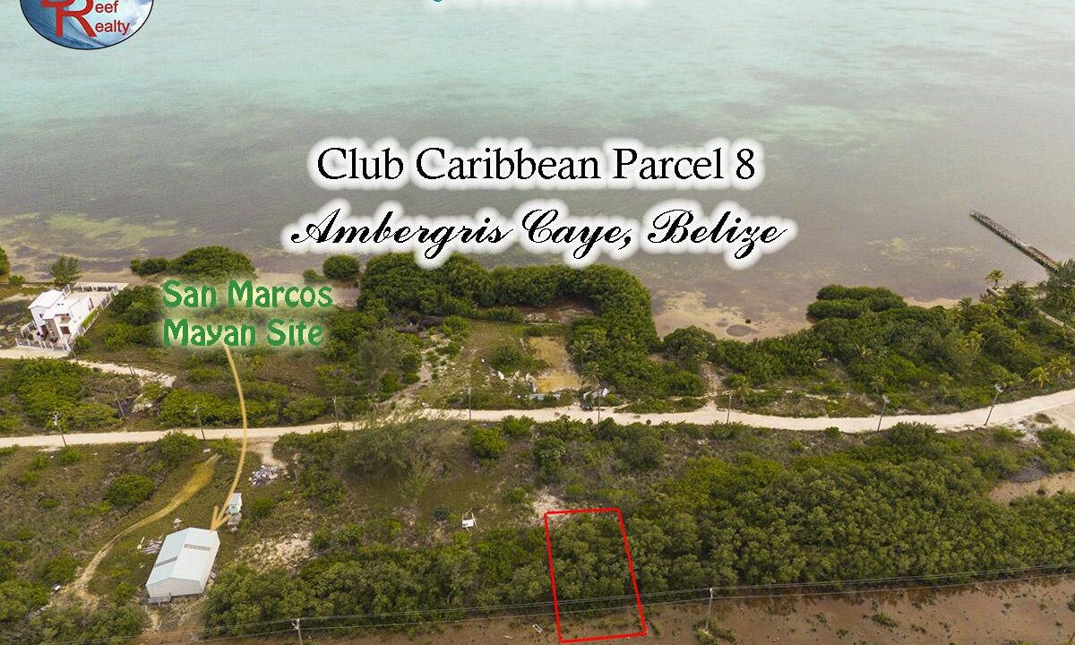 parcel-8-for-sale-Belize-realestate