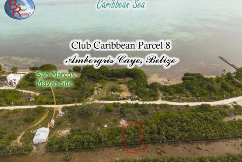 parcel-8-for-sale-Belize-realestate