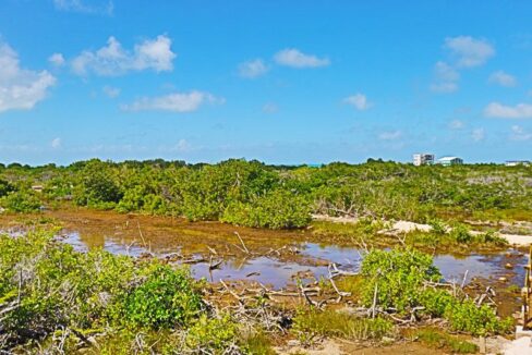pristine_land_in_san_pedro_001_ambergris_caye_belize
