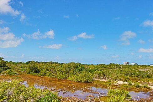 pristine_land_in_san_pedro_002_ambergris_caye_belize
