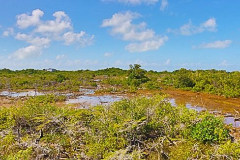 pristine_land_in_san_pedro_003_ambergris_caye_belize