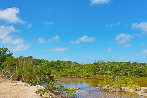 pristine_land_in_san_pedro_004_ambergris_caye_belize