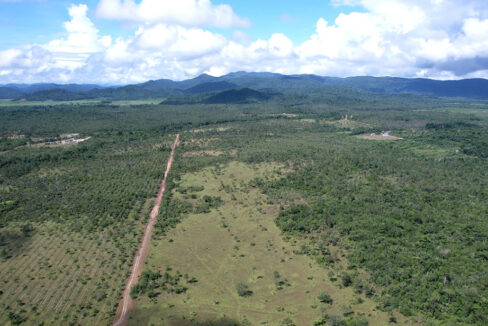 silk-grass-farm-for-sale-belize