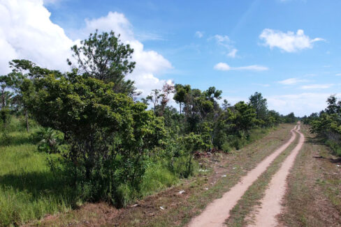 silk-grass-jungle-acreage-belize