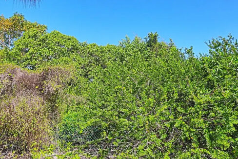 solid_residential_lot_1090_001_caye_caulker_belize