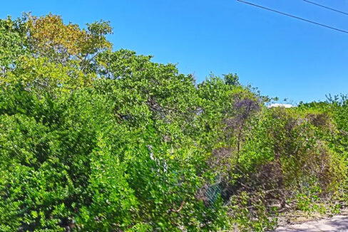 solid_residential_lot_1090_005_caye_caulker_belize