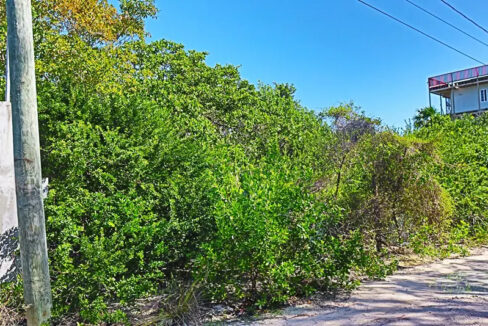 solid_residential_lot_1090_006_caye_caulker_belize