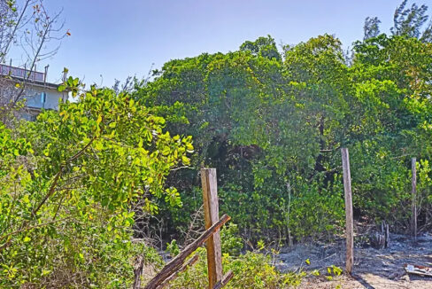 solid_residential_lot_1090_009_caye_caulker_belize
