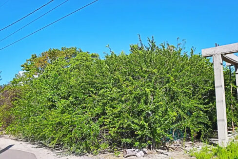 solid_residential_lot_1090_014_caye_caulker_belize