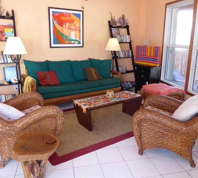 treehouse-home-living-room-for-sale-beize