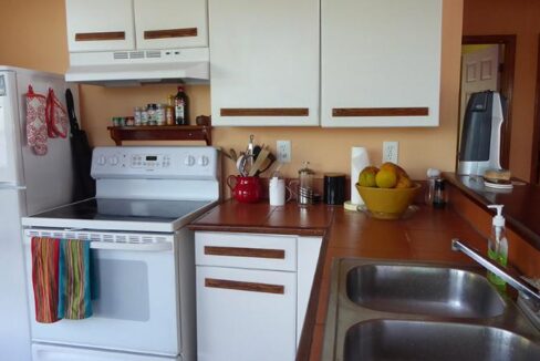 treehouse-sale-home-kitchen