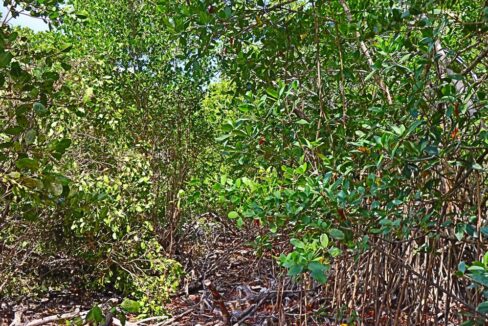 tropic_hideaway_lot_004_caye_caulker_belize