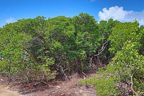 tropic_hideaway_lot_009_caye_caulker_belize
