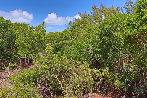 tropic_hideaway_lot_010_caye_caulker_belize