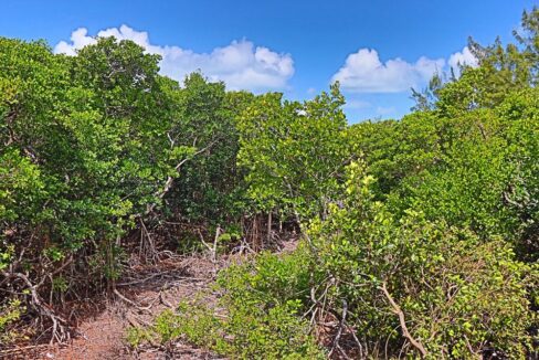 tropic_hideaway_lot_011_caye_caulker_belize