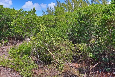 tropic_hideaway_lot_013_caye_caulker_belize