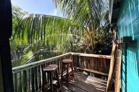 waterfront_in_the_village_136_caye_caulker_belize