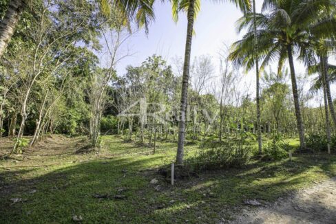12016_1eb45889_original_22