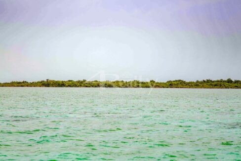 12016_9d7493c1_original_18