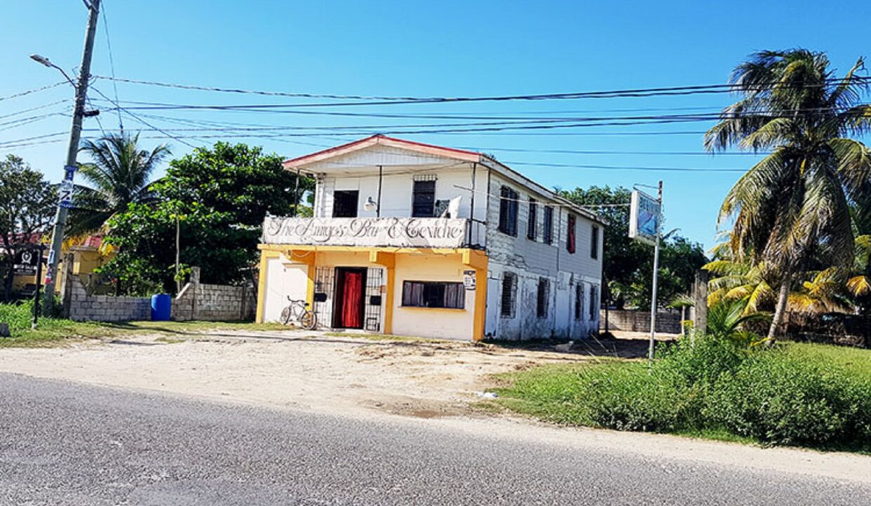 1commercialpropertyladyville1