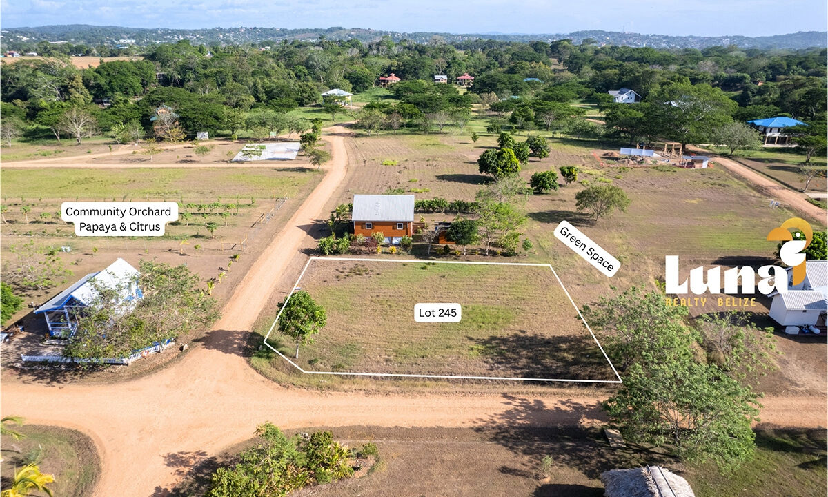 3.-Lot-245-showing-greens-space-and-orchard