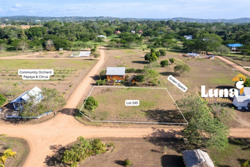 3.-Lot-245-showing-greens-space-and-orchard