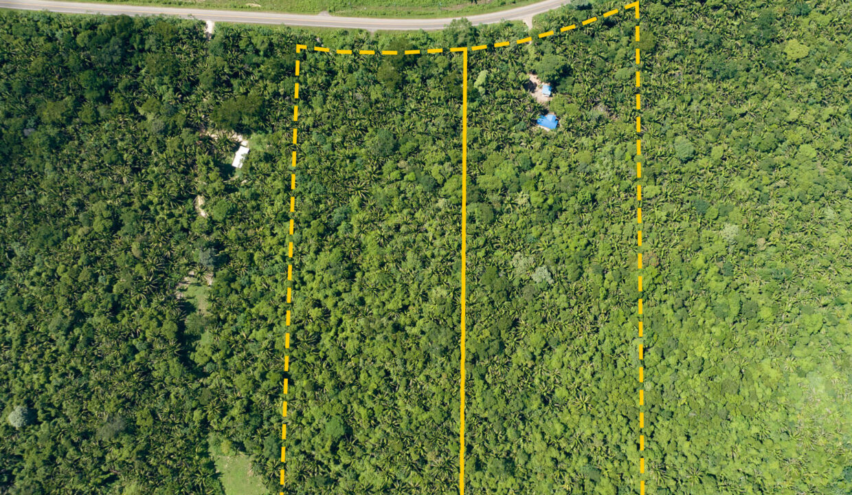 3020Acre20Eco20Retreat20with20Cave20Hummingbird20Highway2005