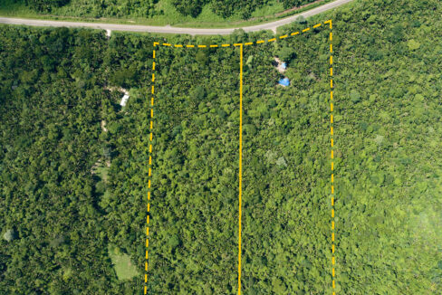 3020Acre20Eco20Retreat20with20Cave20Hummingbird20Highway2005