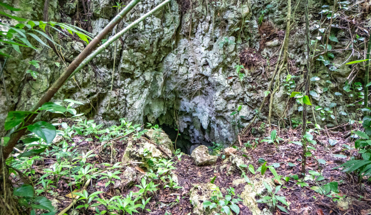 3020Acre20Eco20Retreat20with20Cave20Hummingbird20Highway2006